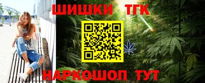стафф Гай