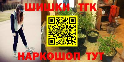 стафф Гай