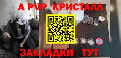 стафф Гай