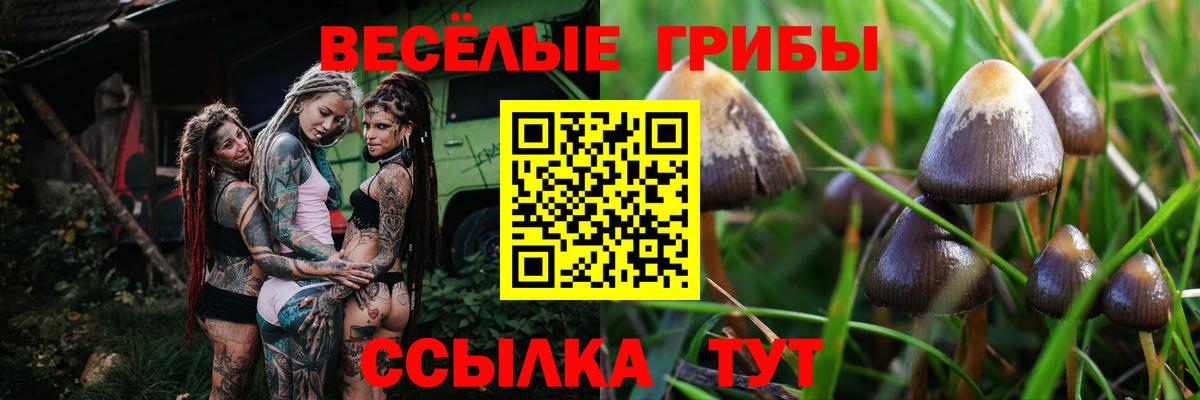 Галлюциногенные грибы мухоморы Лесосибирск