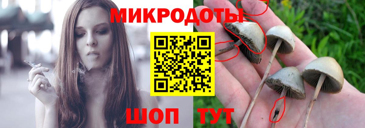 Лесосибирск  Псилоцибиновые грибы ЛСД  Вход с VPN 
